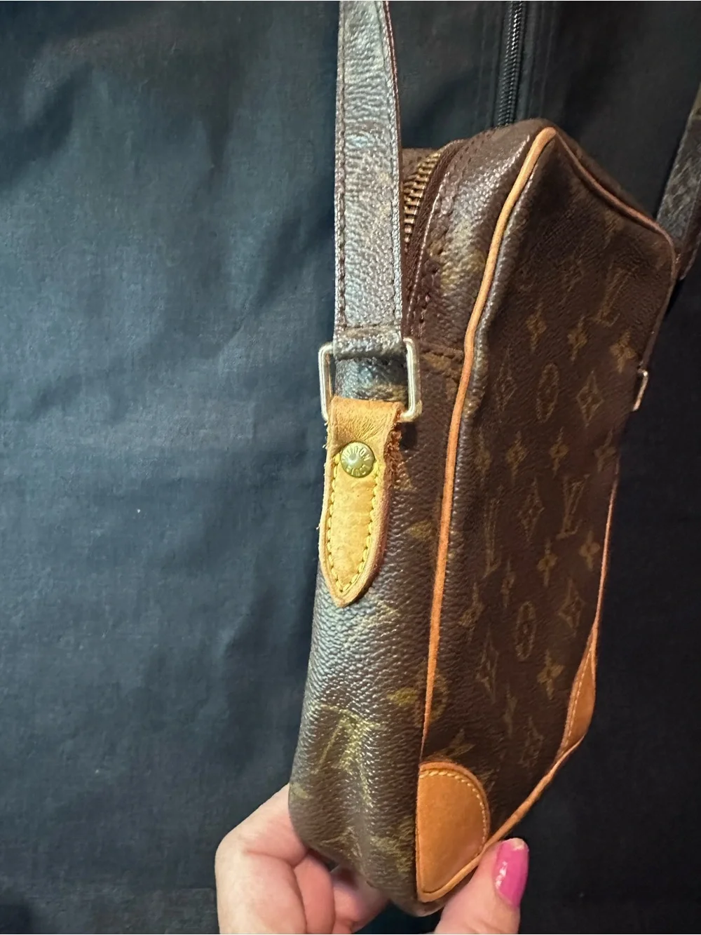 Louis Vuitton Monogram Danube crossbody